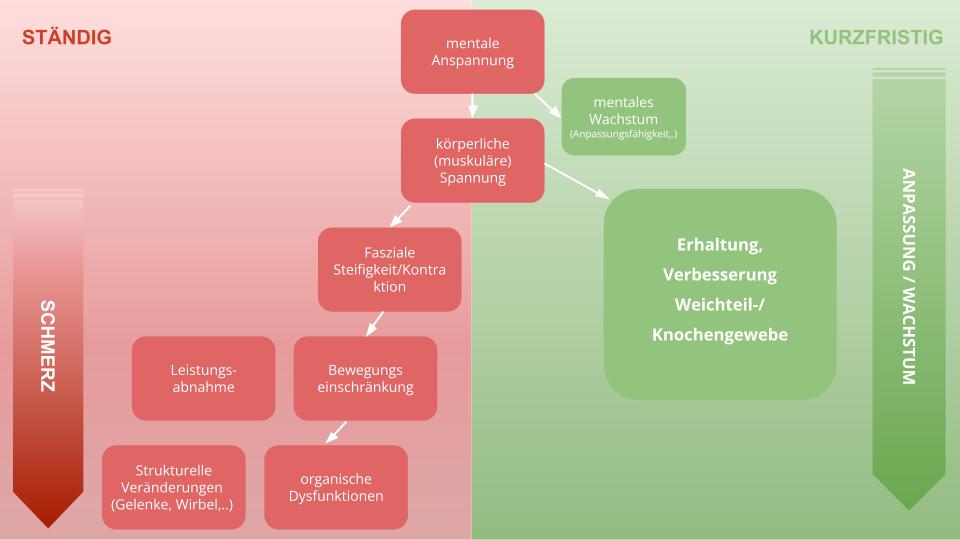 Auswirkungen mentaler und körperlicher (An)spannung